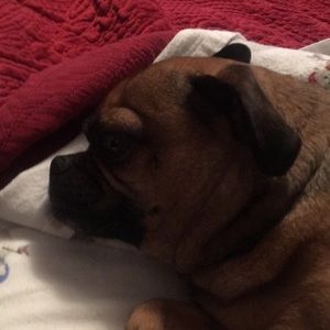 Meet your Posher, Marcie